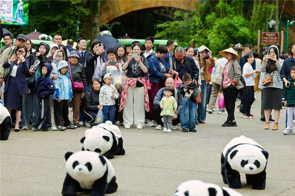 全域融合焕新景龙城文旅假期热度持续(图1)